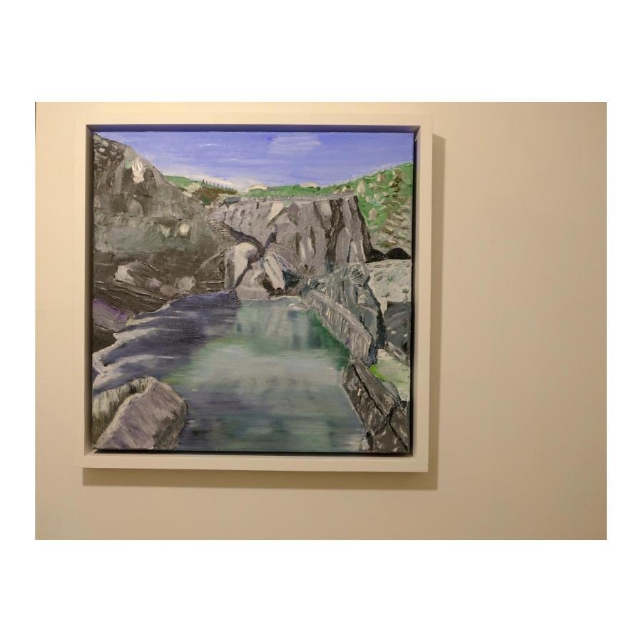 Dromdiah Lodge Killeagh Luaran gambar